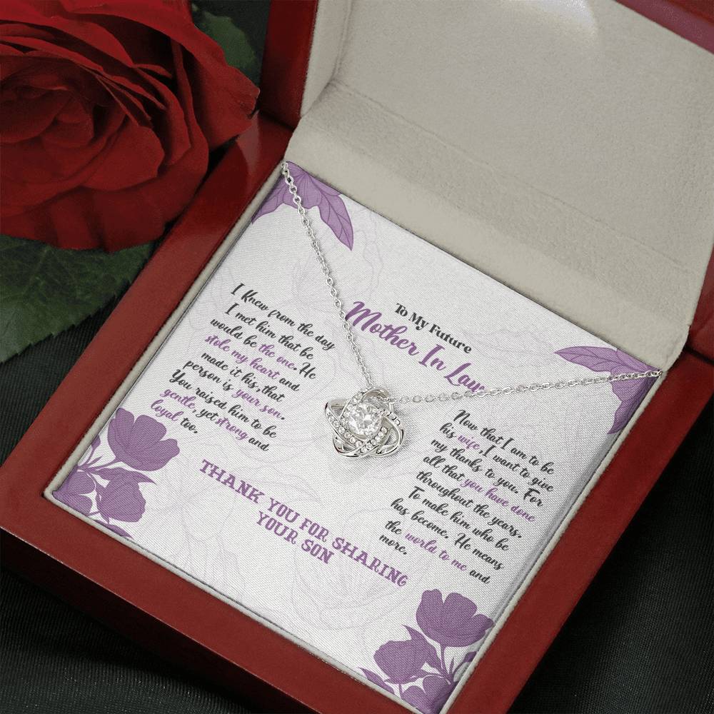 Mother-In-Law - He Means The World To Me