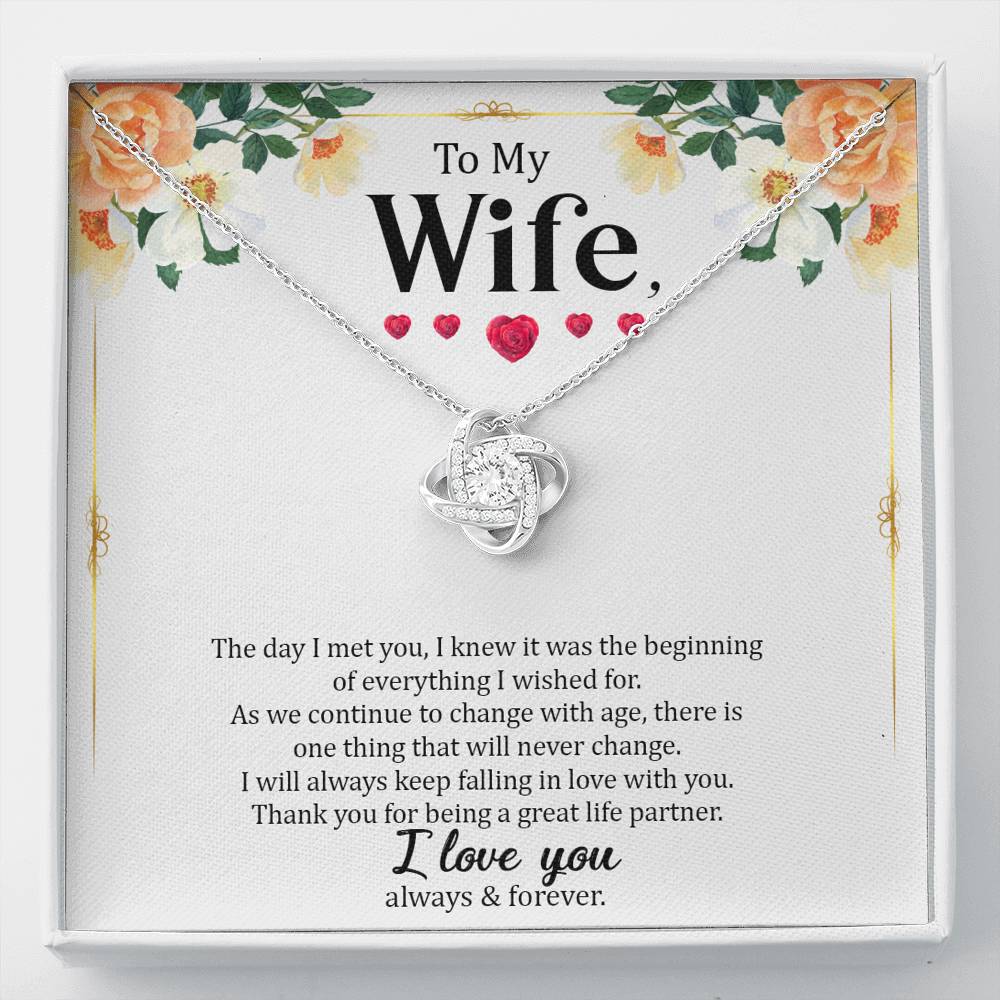 Wife - The Day I Met You